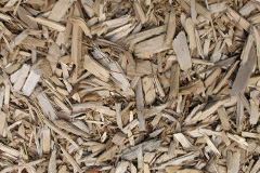 biomass boilers Derringstone